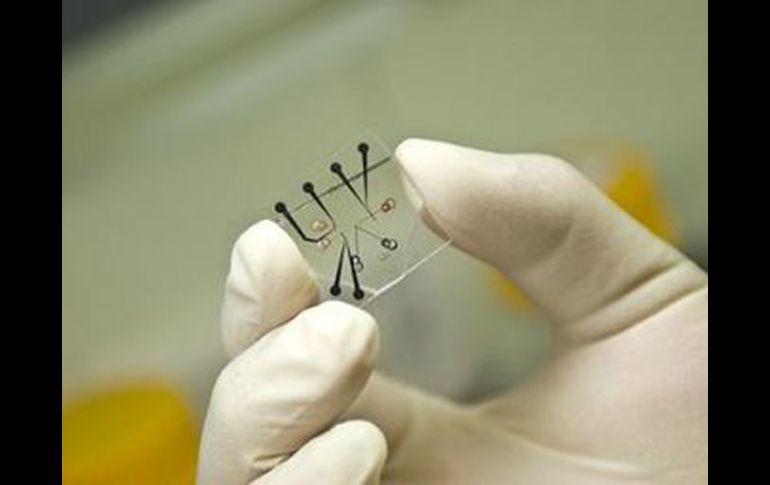 Visión del microchip compuesto de capas de silicona que incorporan canales nanométricos por donde cilcula el agua. ESPECIAL  /