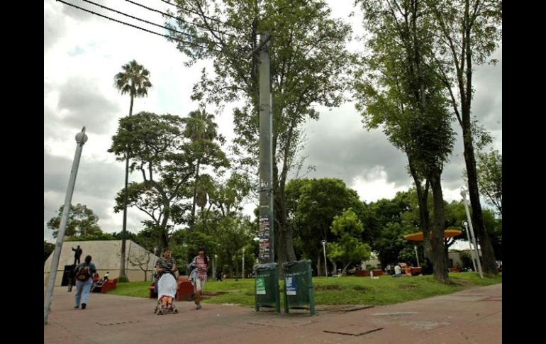 Guadalajara se ha rezagado en la generación de espacios públicos verdes. EL INFORMADOR  /