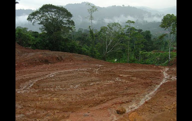 El costo del desgaste de los suelos en Guatemala dejaron pérdidas por 727 millones de quetzales. ESPECIAL  /