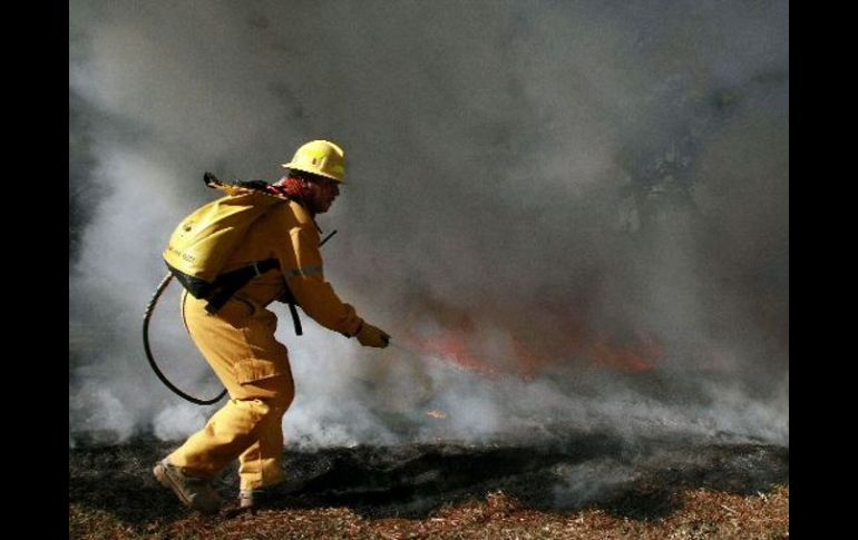 Del año 2008 al 2010 se han contabilizado 192 incendios forestales en territorio jalisciense. ARCHIVO  /