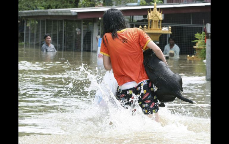 Una mujer sostiene a su perro mientras camina por una calle inundada. EFE  /