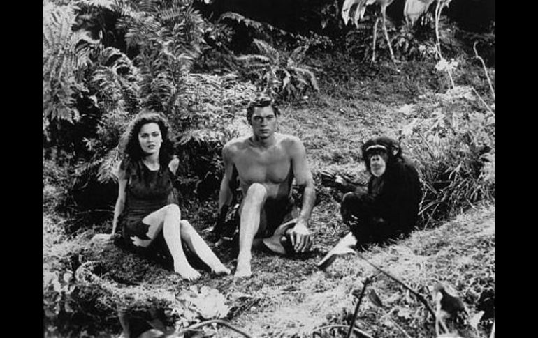 El simio protagonizó en total 12 películas del hombre de la selva. ESPECIAL  /