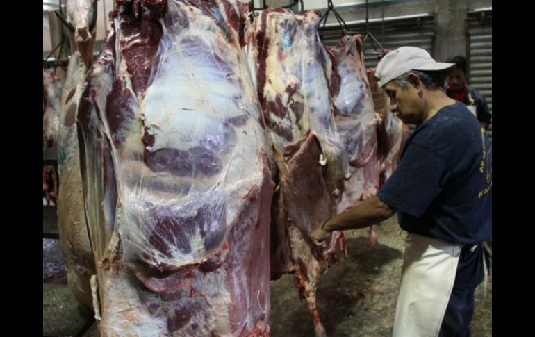 Jalisco tiene el segundo lugar nacional en producción de carne de res. ARCHIVO  /