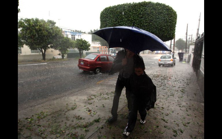 La temporada de 2011 en el Atlántico dejó un saldo de 19 tormentas tropicales, siete se volvieron huracanes. ARCHIVO  /
