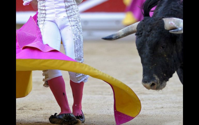 La Coordinadora Internacional por la Tauromaquia busca que los toros sea Patrimonio Cultural. EFE  /