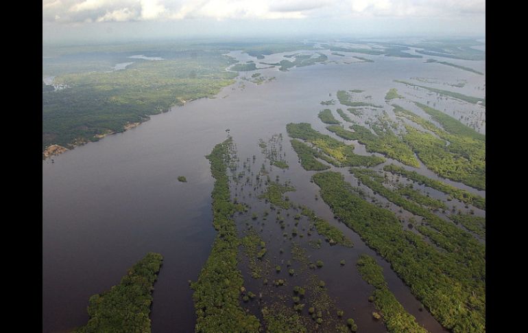 La selva amazona es una de las zonas  que se ha visto más amenazada durante los últimos años. ARCHIVO  /