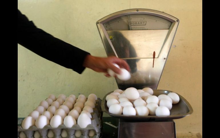 La Sagarpa afirma que precio del huevo se normalizará a más tardar en diciembre. REUTERS  /
