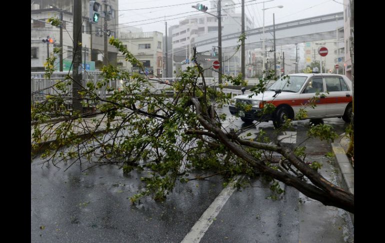 Un árbol caido a causa del tifón ''Jelawat''. AP  /