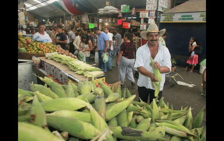 Hasta el momento México no tiene cultivos de maíz genéticamente modificado que hayan sido aprobados para su uso comercial. ARCHIVO  /