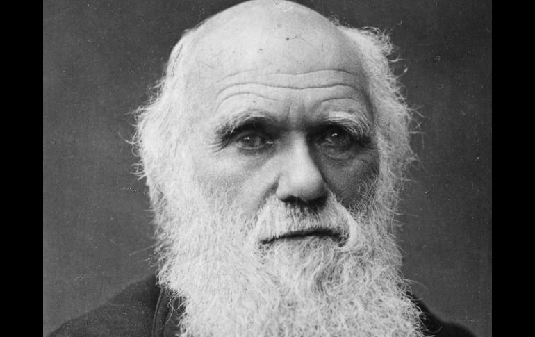 A 204 años de la muerte de su autor, las teorías evolucionistas de Darwin cobran cada vez mayor vigencia. ARCHIVO /