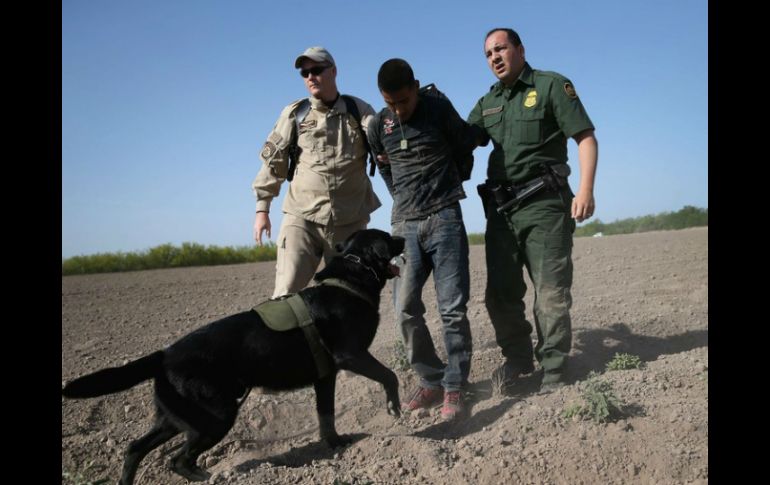 El Cómite Pro Derechos Huamnos en Reynosa califican de abuso de autoridad el uso de perros en detenciones. ARCHIVO /
