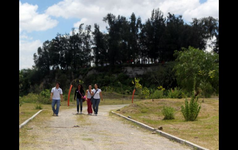 El polígono de 36 mil metros cuadrados del bosque Colomos III quedaría bajo protección del municipio. ARCHIVO /
