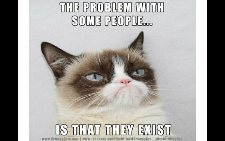 En este meme, la gatita dice 'El problema con algunas personas... es que existen'. Tomada de @RealGrumpyCat  /