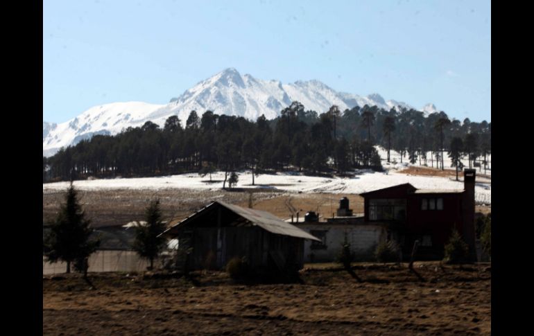 Los ejidos (cooperativas agrarias) establecidos en el Nevado de Toluca han mermado su capacidad forestal y sus bosques. ARCHIVO /