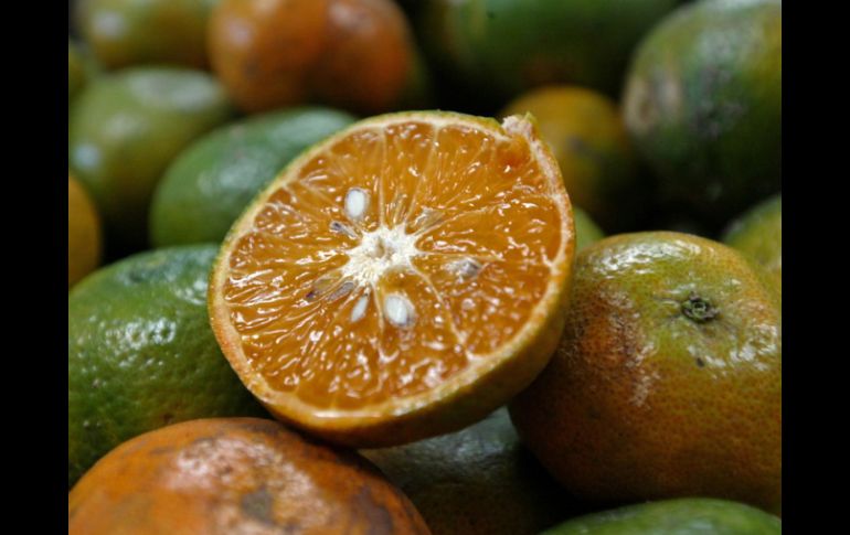 Las vitaminas A, C y E fortalecen tu cuerpo contra las enfermedades invernales, y éstas son más recurrentes en las naranjas. ARCHIVO /