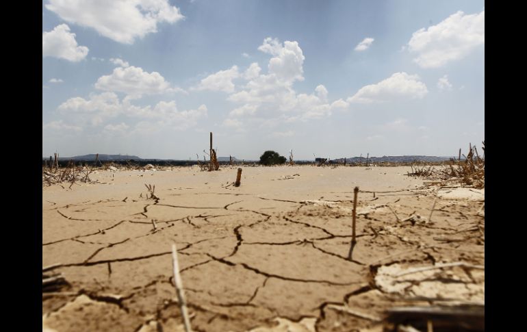 En México la sequía dañó diversas regiones del país afectando principalmente a los consumidores. ARCHIVO /