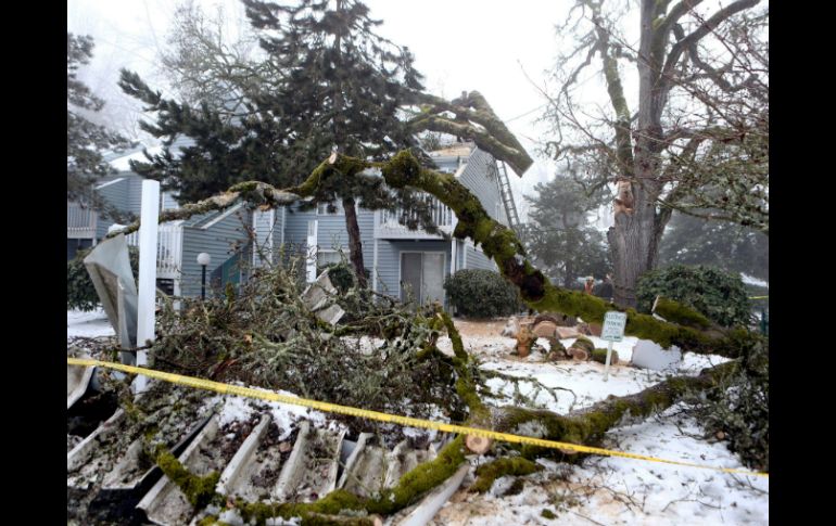 Autoridades retiran parte de un árbol que cayó sobre una casa en Oregon. AP /