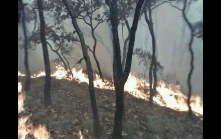 Imagen del incendio en el Cerro del Tepopote. @ZapopanGobierno. ESPECIAL /