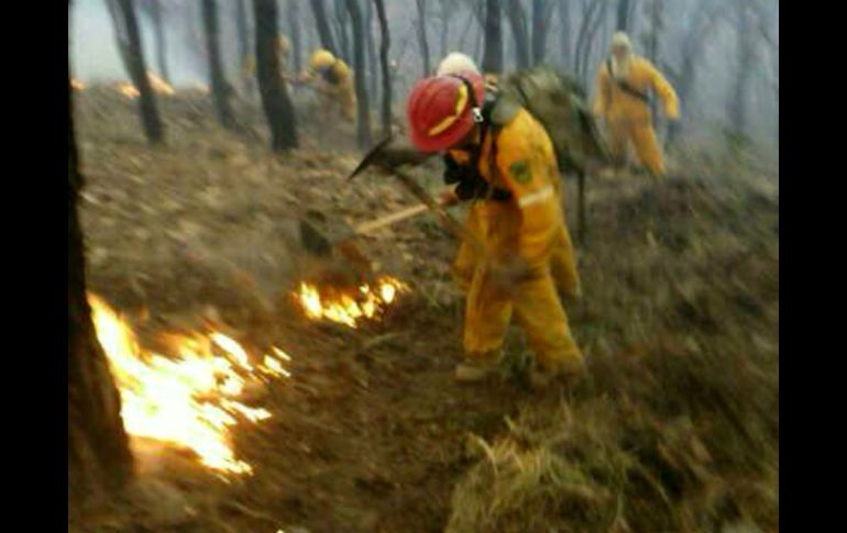 Alrededor de 150 combatientes forestales trabajarán toda la noche del domingo para tratar de controlar el incendio. ESPECIAL /
