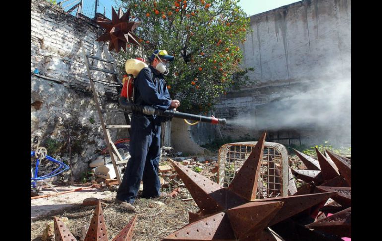 A nivel nacional Jalisco ocupa el tercer lugar en número de casos por dengue. ARCHIVO /