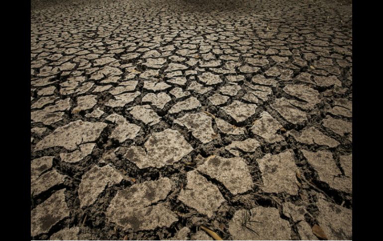 En 2013 Brasil padeció una sequía devastadora. ARCHIVO /