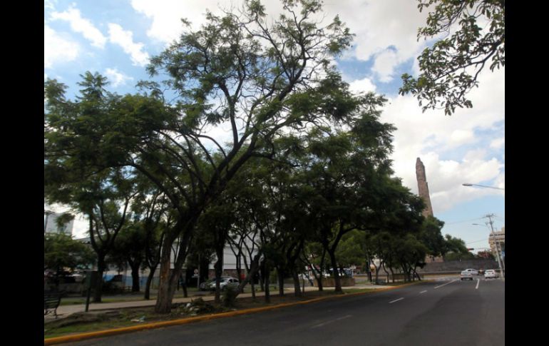 La avenida Chapultepec quedará uniforme, en los dos lados de la acera, desde Niños Héroes hasta la Avenida Vallarta. ARCHIVO /