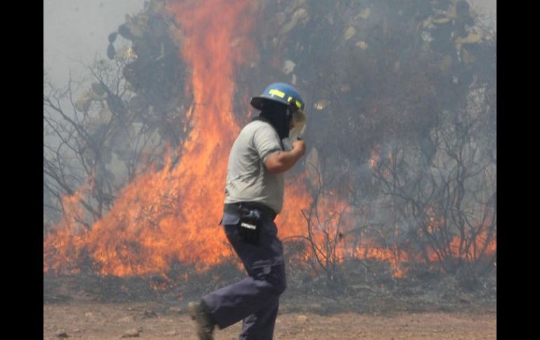 Incendios forestales en Jalisco. Hasta el 17 de abril registra dos mil 489 hectáreas incendiadas según la Comisión Nacional Forestal. ARCHIVO /
