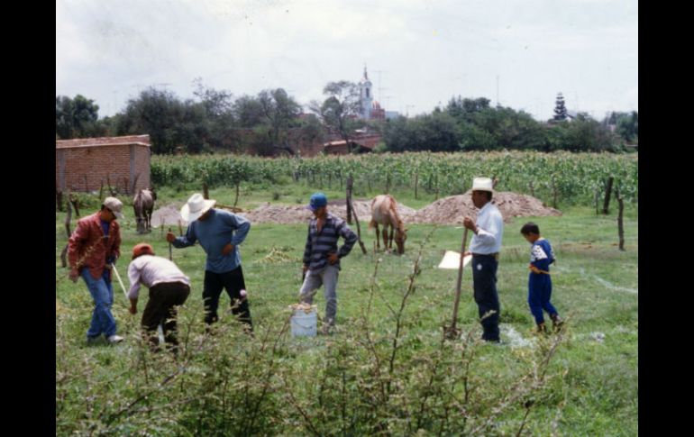Campesinos dicen tener más de 70 años trabajando esas tierras. ARCHIVO /