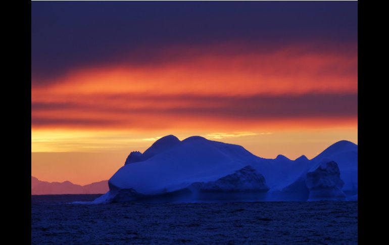 El deshielo provoca la pérdida de diversas especies en la Península Antártica. ARCHIVO /