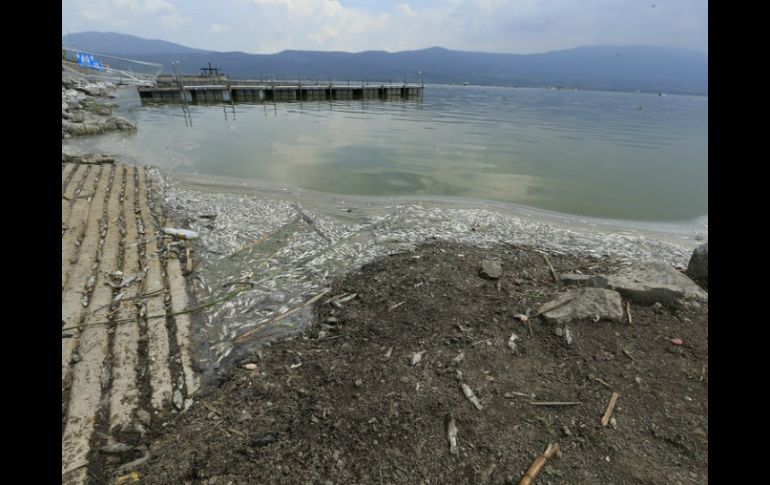 Las minutas de acuerdos sobre la laguna de Cajititlán han sido ''demoradas'', y una vez firmadas, ''incumplidas''; dice Del Toro. ARCHIVO /