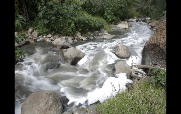 A lo largo de la ruta del río Sonora se habilitarán centros de acopio para que vendan sus tradicionales productos moviendo la economía. ARCHIVO /