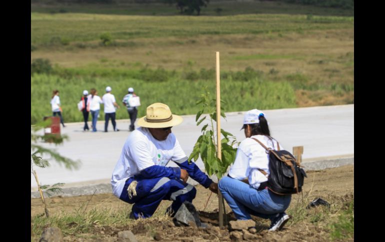 Estudiantes y empleados reforestan zona de Tala, donde cruza el Macrolibramiento Sur. EL INFORMADOR / M. Vargas