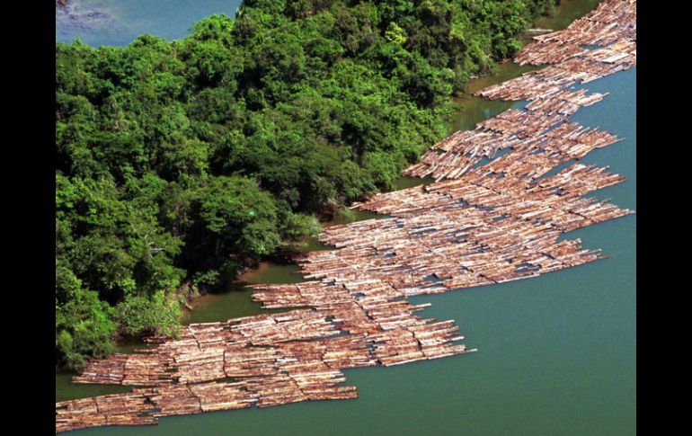 La observación policiaca se unirá al PPCDAm, que ha permitido reducir en un 79 % la deforestación en Brasil desde 2004. AFP / ARCHIVO