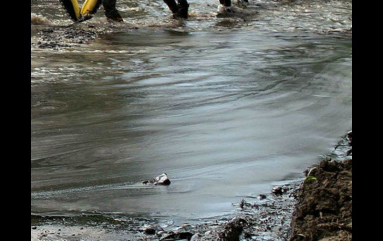Mencionan que ya se han tomado las medidas necesarias para llevar el agua de los ríos a las potabilizadoras y a la población. EFE / ARCHIVO