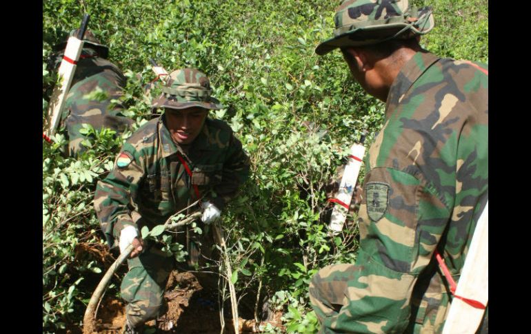 Un par de militares fumiga el plantío de cocaína con el herbicida. EFE / ARCHIVO