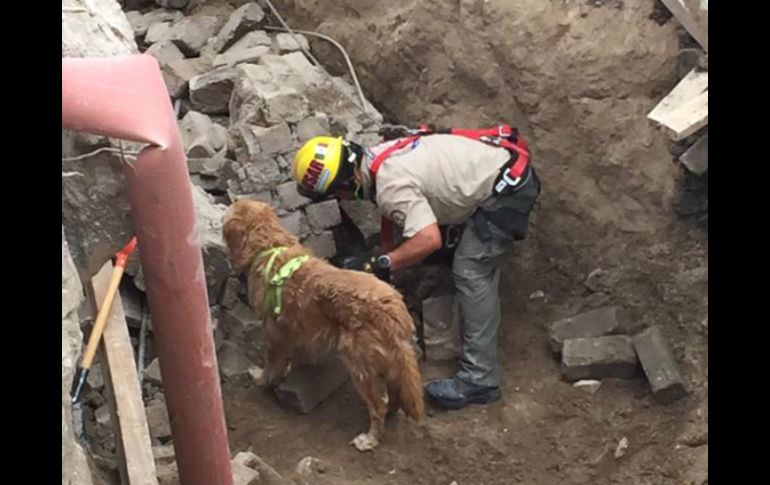 Elementos de Protección Civil de Zapopan ayudaron en las labores de rescate. TWITTER / @UMPCyBZ