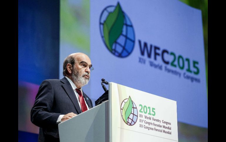 José Graziano da Silva inauguró el XIV Congreso Forestal Mundial que se celebra en Durban. EFE / ONU