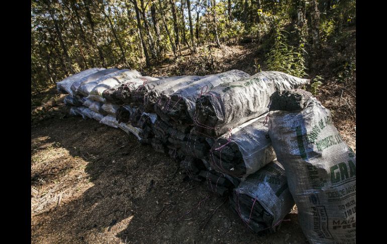 En uno de los lugares se encontraron 75 costales que contenían un total de 1.5 toneladas de carbón de encino. EL INFORMADOR / ARCHIVO