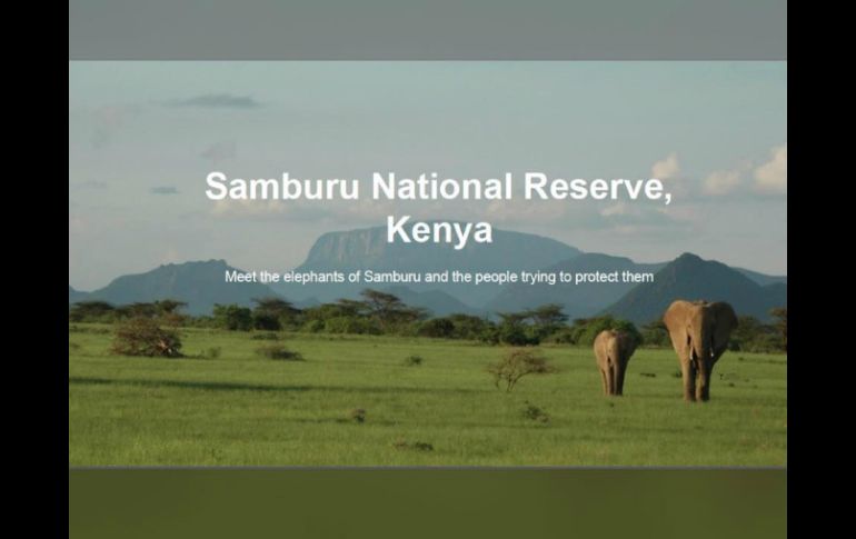 El servicio de Google View permite en un clic observar la población de elefantes en Samburu. FACEBOOK / Save the Elephants