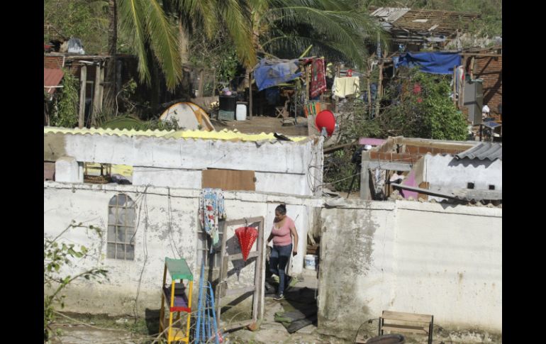 El huracán 'Patricia' dejó afectaciones en los campos de Colima, Jalisco y Michoacán. EFE / ARCHIVO