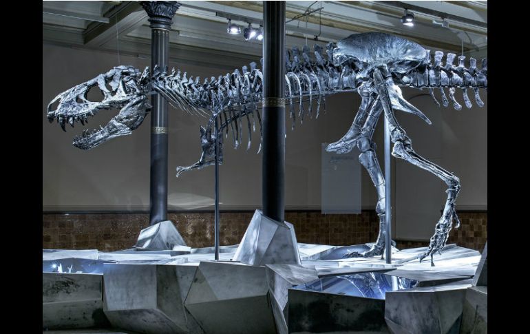 El esqueleto es reconstruido por un grupo de 70 científicos a partir de los restos encontrados. ESPECIAL / naturkundemuseum.berlin