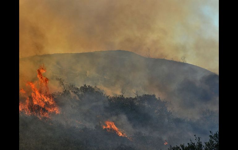 Las autoridades colombianas confirman que hasta el momento se han presentado un total de 15 incendios forestales. AP / ARCHIVO