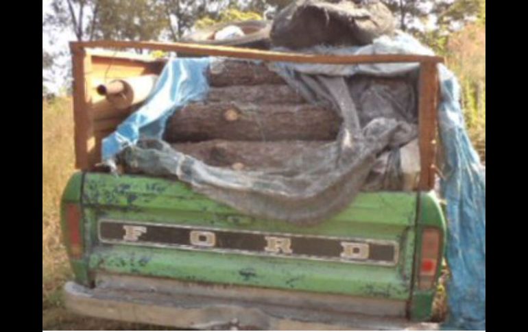 El propietario del vehículo no acreditó el transporte legal de la madera, por lo que se abrió un proceso administrativo. TWITTER / @PROFEPA_Mx