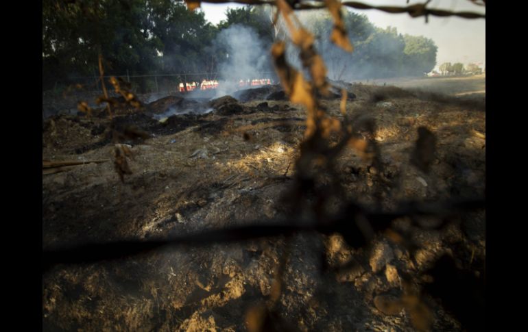 En lo que va de 2016 se han registrado 80 incendios en pastizales y lotes baldíos. EL INFORMADOR / ARCHIVO