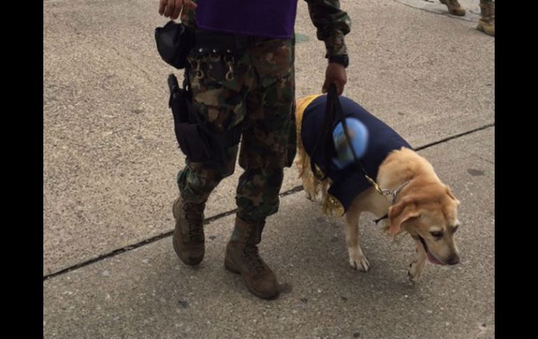 Especialistas con perros adiestrados comenzaron a inspeccionar ambas estaciones. NTX / ARCHIVO
