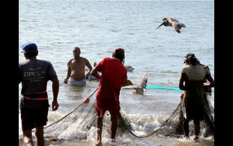 Las autoridades federales emplearán recursos de investigación e inteligencia para combatir la pesca ilegal. NTX / ARCHIVO