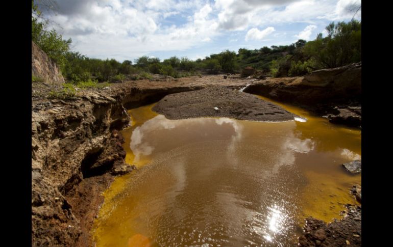 Un derrame de 40 mil metros cúbicos de sulfalto de cobre contaminó los ríos Bacanuchi y Sonora. AFP / ARCHIVO