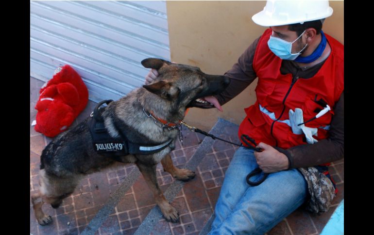 Un rescatista canino y su perro descansan luego de trabajar en labores de rescate y recuperación de cuerpos. EFE / C. Escobar
