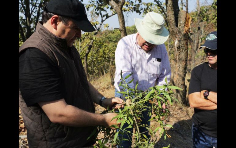 Alberto Uribe realizó una gira de supervisión por el predio de 800 hectáreas dentro del Área Natural Protegida. ESPECIAL /