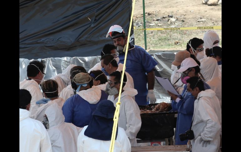 Los auxiliares forenses contribuyen a desarticular el fémur de cada cuerpo para fraccionarlo en cuatro partes. AFP / J. Villamil
